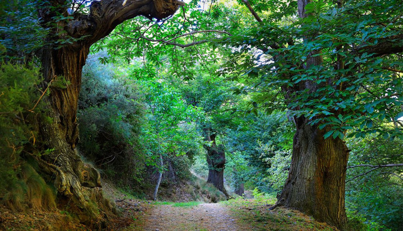 16 kişinin yaşadığı köyü yılda 25 bin turist ziyaret ediyor - Resim: 3