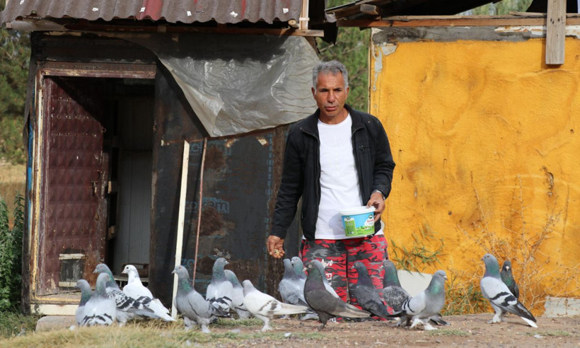 20 yıl yaşıyor, yurt dışına 500 bin TL'ye satıyorlar - Resim: 5