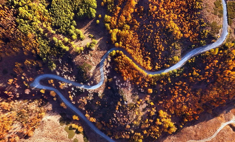 Bitlis’te kartpostallık manzara: Nemrut Krater Gölü’nde renk cümbüşü - Resim: 3