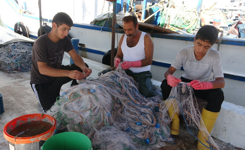 Balıkçılardan müjde: Tezgahlar doldu taştı! Sezon Kasım ayına kadar sürecek - Resim : 1