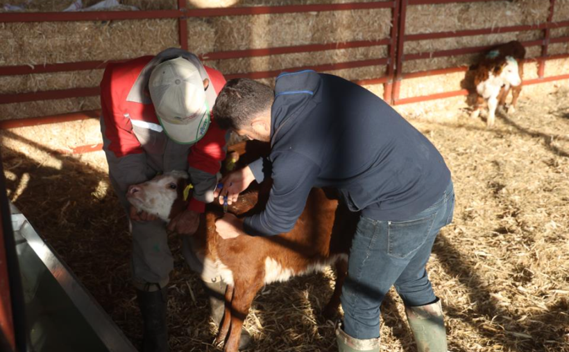 Deprem sonrası sıfırdan başladı! 3 ayda yaptıkları görenleri hayrete düşürdü - Resim: 4