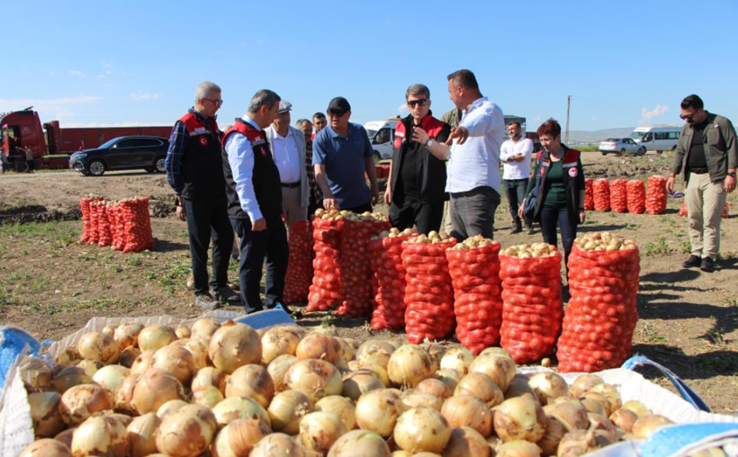 Türkiye'nin soğan deposunda hasat başladı: Fiyatlar belli oldu - Resim: 3
