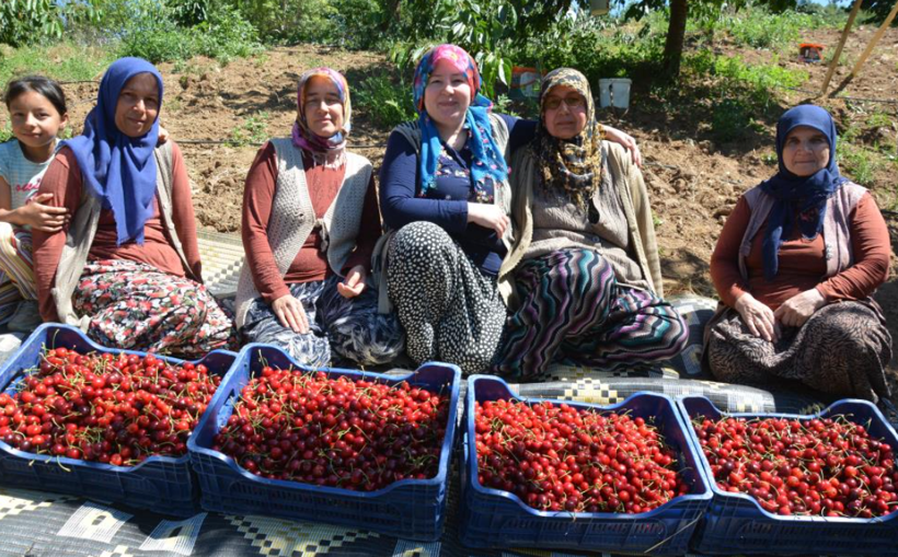 Geçen yıl yoktu, bu yıl dalından taşıyor: Türkiye'nin ünlü meyvesinde tablo değişti - Resim: 3