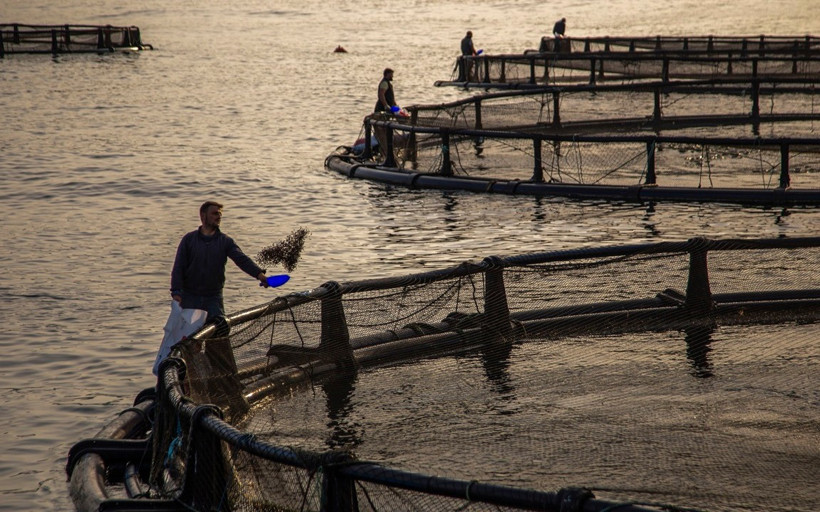 DIA’dan sürdürülebilir balıkçılığa 150 milyon Euro yatırım