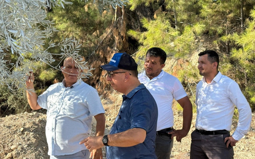 Zeytin taşımada pilot uygulama başarıyla sonuçlandı