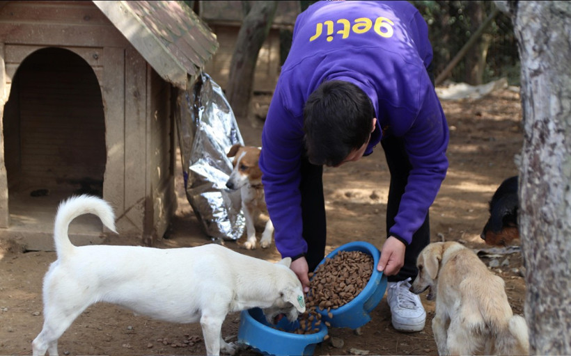 Getir'den 1 milyon kap mama desteği