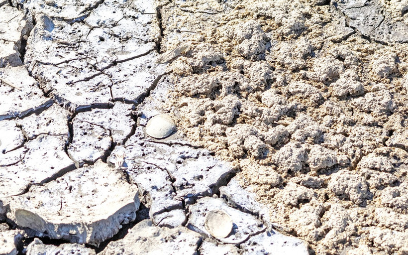 İklim krizine karşı en stratejik savunma: Suyun döngüsel yönetimi