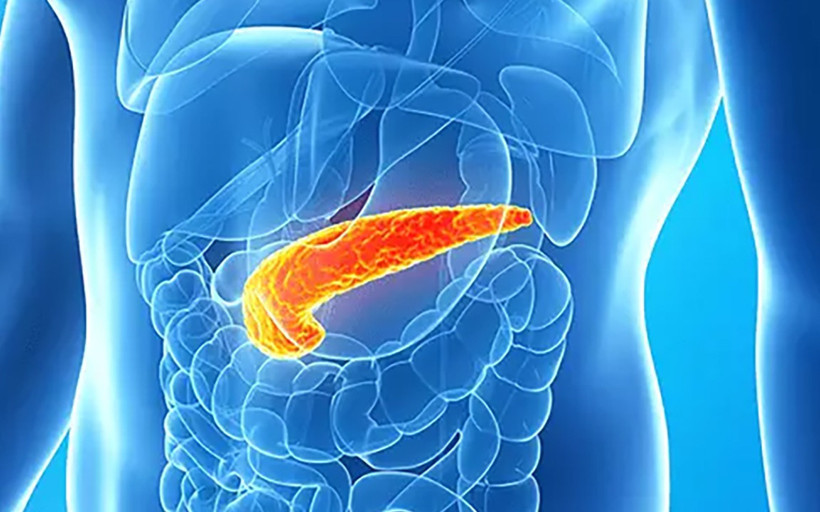Pankreas kanserinde umut veren gelişme: Tam iyileşme sağladı