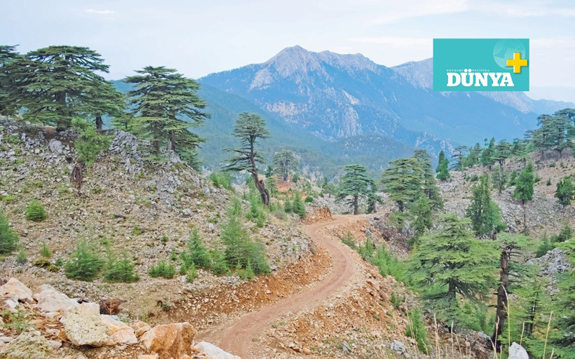 Likya Yolu: Baharın en güzel yürüyüşü