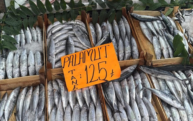 Palamut fiyatları düşüyor! Tanesi 125 lira