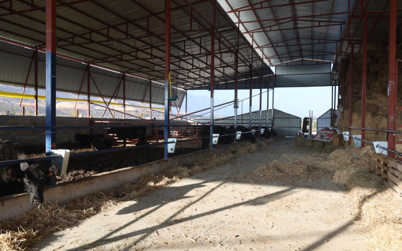 Deprem sonrası sıfırdan başladı! 3 ayda yaptıkları görenleri hayrete düşürdü - Resim: 3