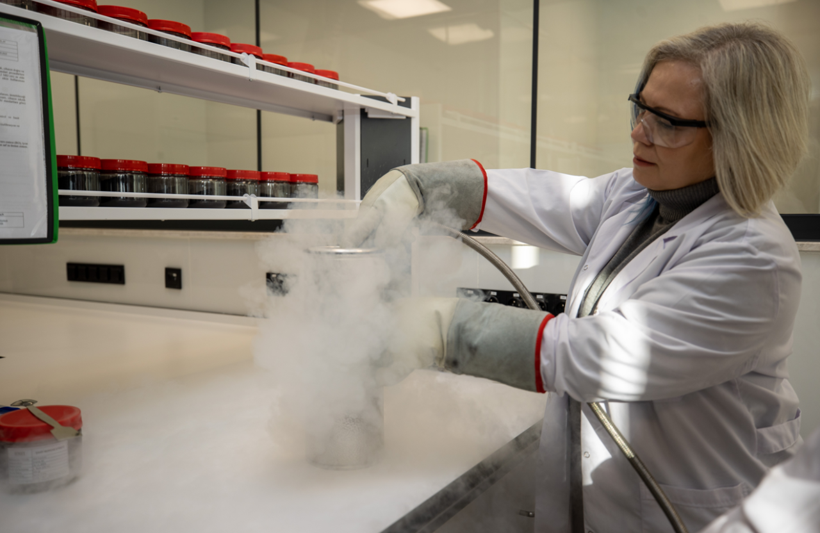 Atıktan stratejik ürüne: Fındık kabuğu ham maddeye dönüştürüldü - Resim: 7