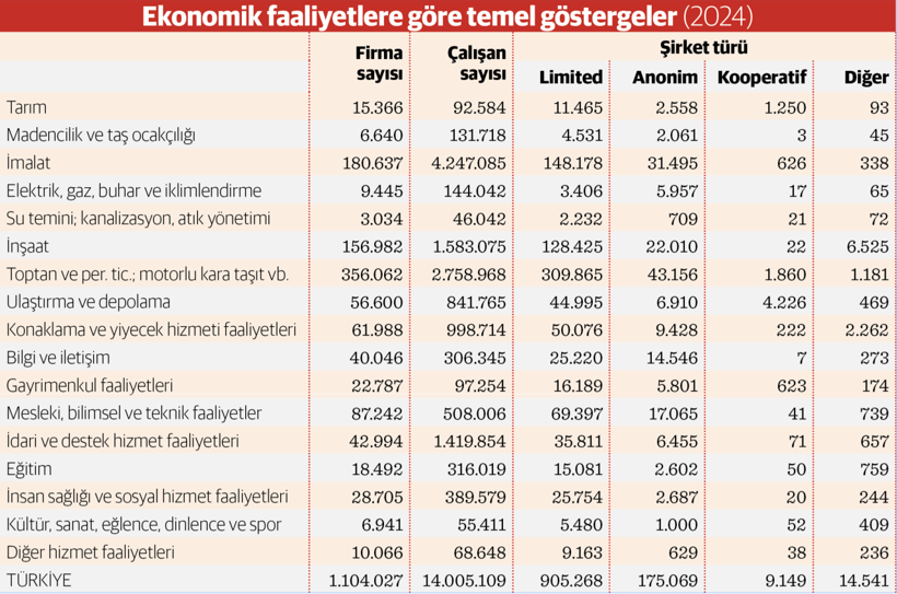 Türk reel sektörünün büyüklüğü 95,8 trilyon - Resim : 2