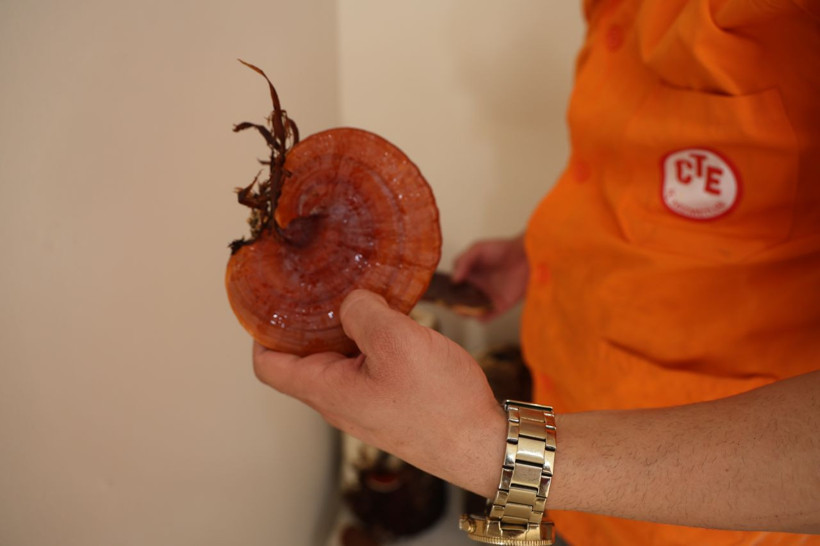 Cezaevinde yetiştirdiler, kilosu 15 bin TL'den satılıyor - Resim: 6