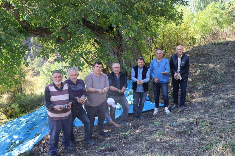 300 sanılıyordu, 620 yaşında çıktı! 6 asırdır bereket dağıtıyor - Resim: 3