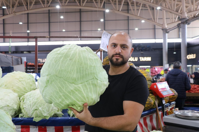 Lahanayı 'hastalık' vurdu - Resim: 4