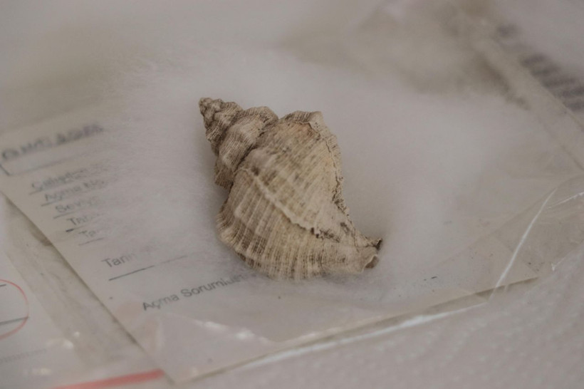 Antik Hipodrom'da oyun taşları ve zar bulundu - Resim: 7