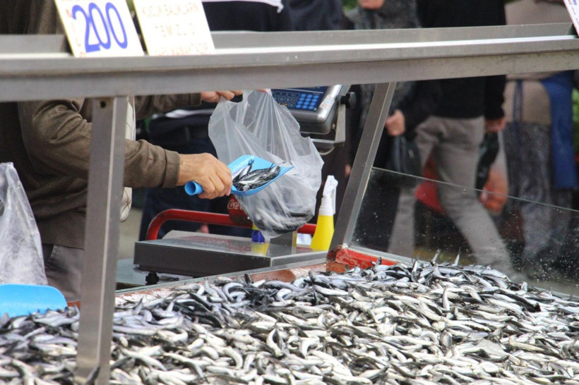 Hamside tehlike çanları! Yarı yarıya düştü - Resim: 4