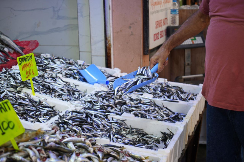 Hamside tehlike çanları! Yarı yarıya düştü - Resim: 5