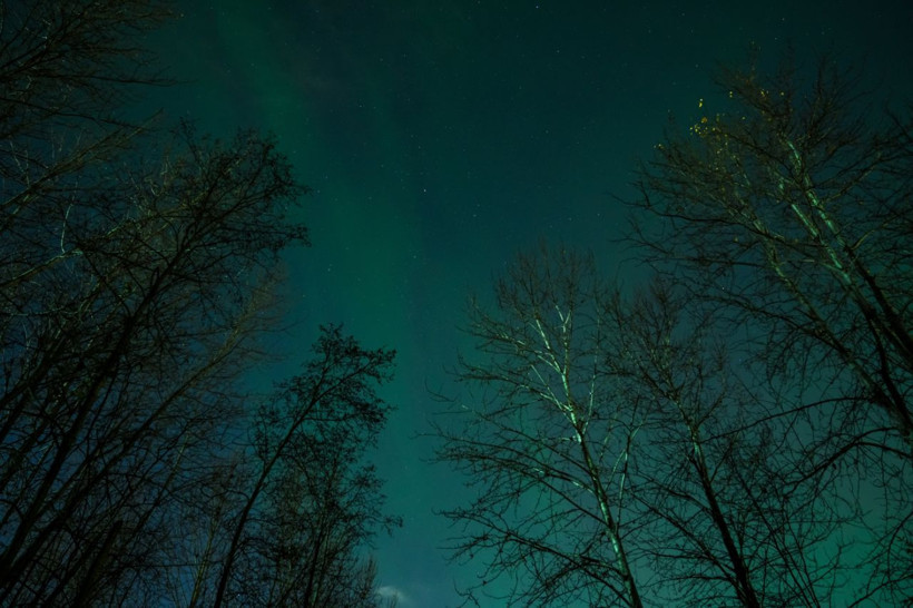 Alaska'da kuzey ışıkları görüldü! - Resim: 9