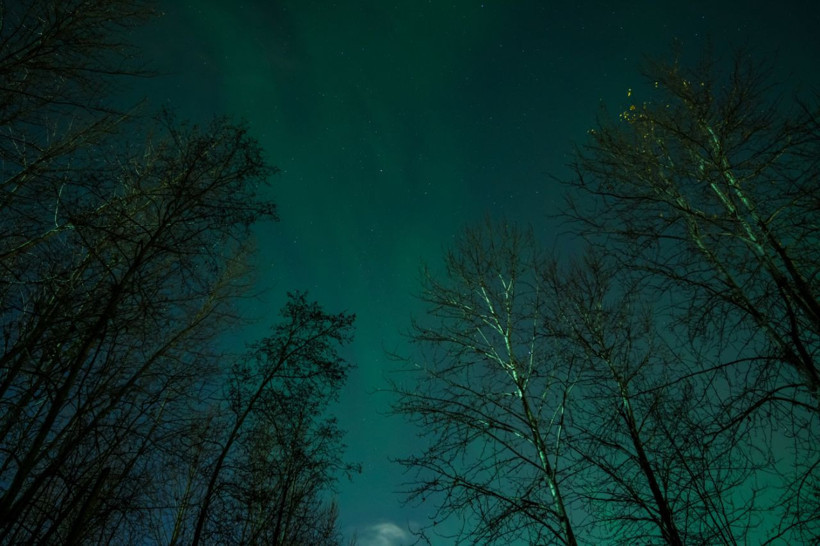 Alaska'da kuzey ışıkları görüldü! - Resim: 10