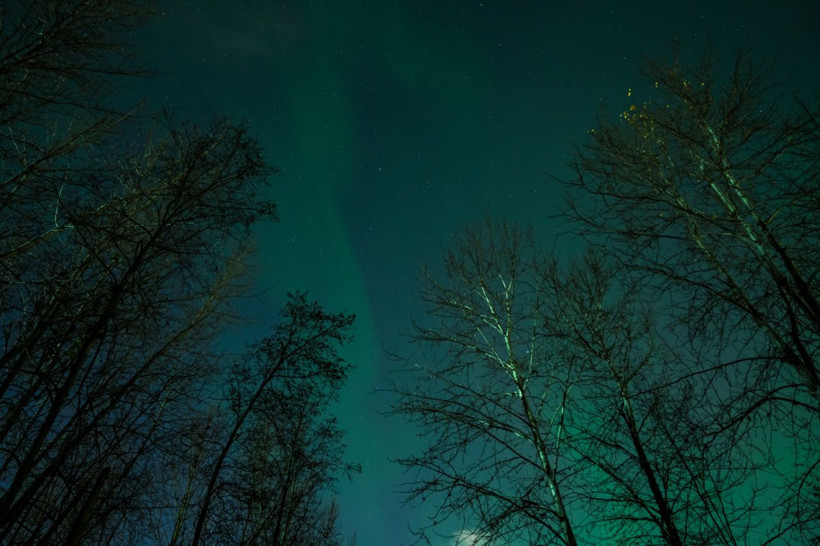 Alaska'da kuzey ışıkları görüldü! - Resim: 11