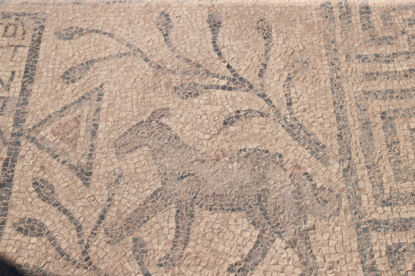 Urfa Kalesi'nde 1500 yıllık Grekçe yazıtlı mozaik bulundu! - Resim: 9