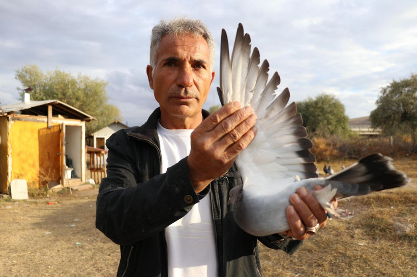 20 yıl yaşıyor, yurt dışına 500 bin TL'ye satıyorlar - Resim: 1