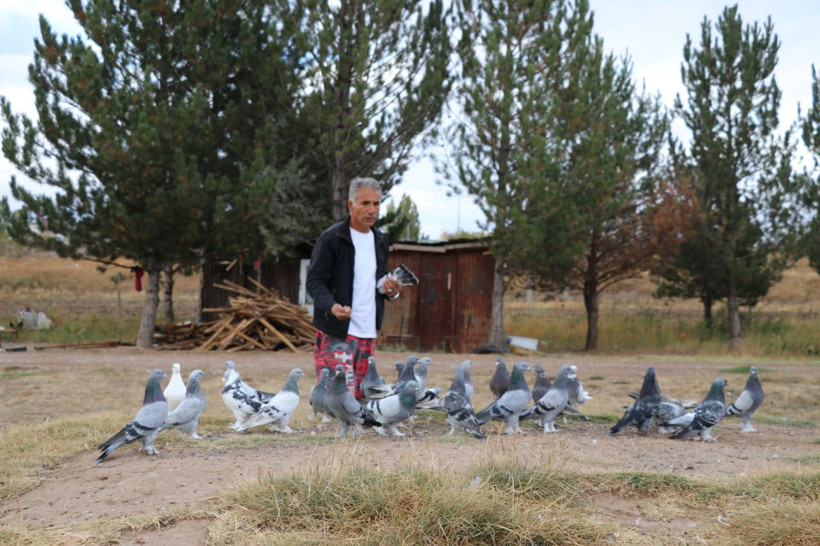 20 yıl yaşıyor, yurt dışına 500 bin TL'ye satıyorlar - Resim: 6