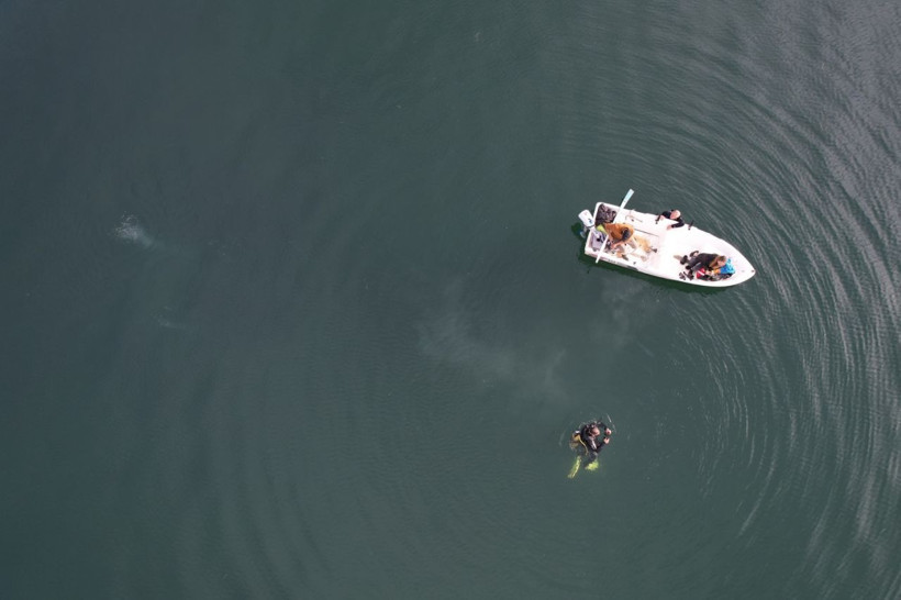Sapanca Gölü'nde görülen kabarcıklar sosyal medyada endişe yarattı! Deprem habercisi mi? - Resim: 1
