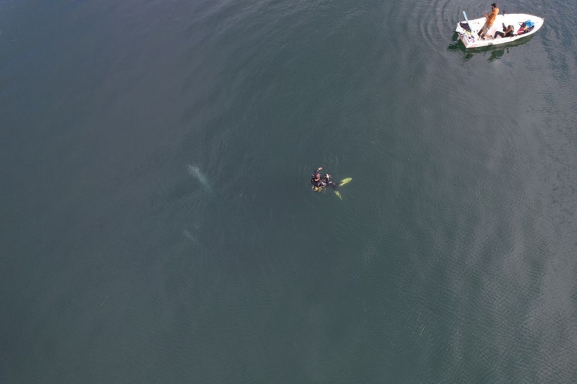 Sapanca Gölü'nde görülen kabarcıklar sosyal medyada endişe yarattı! Deprem habercisi mi? - Resim: 2