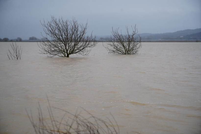 Meriç Nehri taştı, tarım arazileri sular altında kaldı - Resim: 9