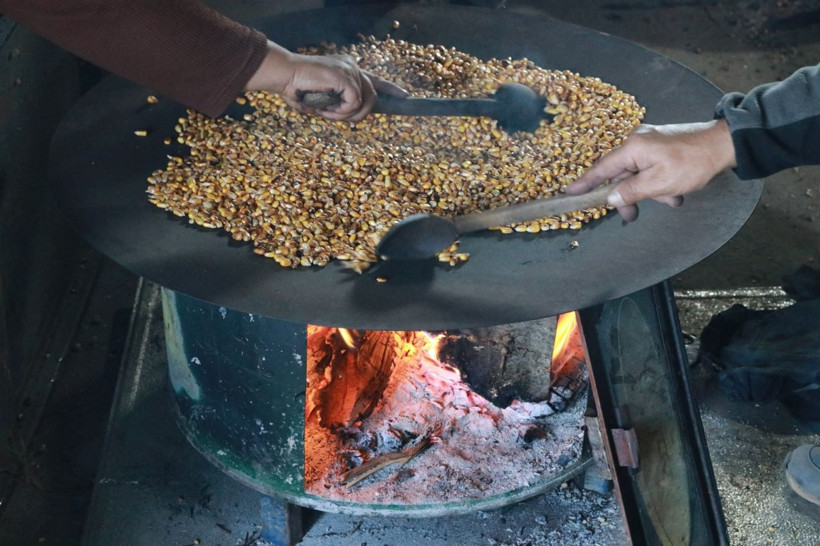 Unutulmaya yüz tutan lezzet gavut: Kansızlığa iyi geliyor, tok tutuyor - Resim: 4