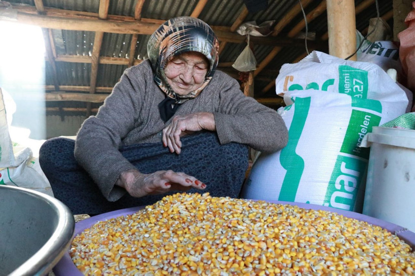 Unutulmaya yüz tutan lezzet gavut: Kansızlığa iyi geliyor, tok tutuyor - Resim: 2