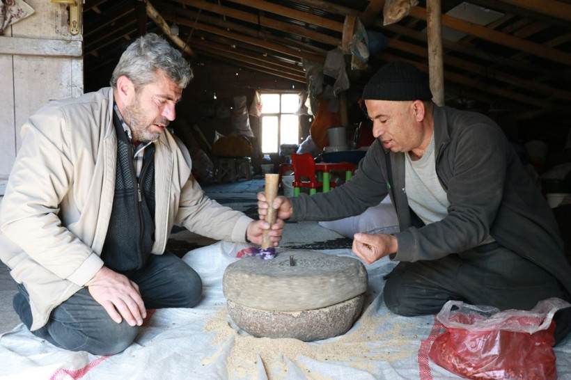 Unutulmaya yüz tutan lezzet gavut: Kansızlığa iyi geliyor, tok tutuyor - Resim: 1