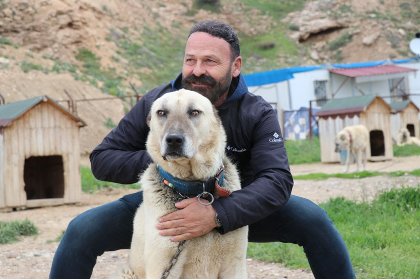 Ani hava değişimleri kangalları depresyona soktu: “Tüyleri dökülüyor, mutsuzlar, huzursuzlar” - Resim: 5