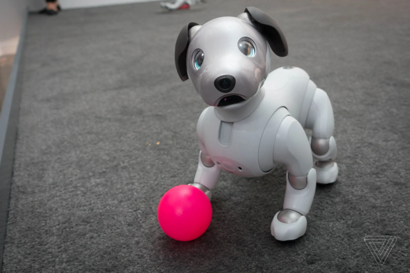 Sony'den sürpriz karar! Efsane robot köpek Aibo'nun satışı durduruldu - Resim: 6