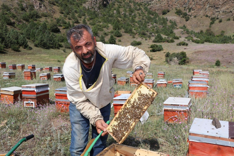 İlk hasat yapıldı: Hedef 3 ton doğal bal - Resim: 4