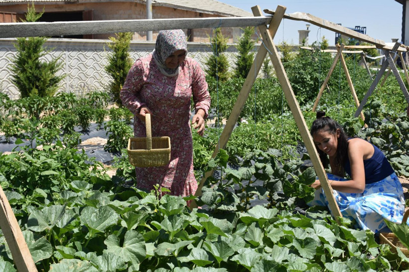 Bu otelde para geçmiyor, konaklamak için tek bir şart var - Resim: 2