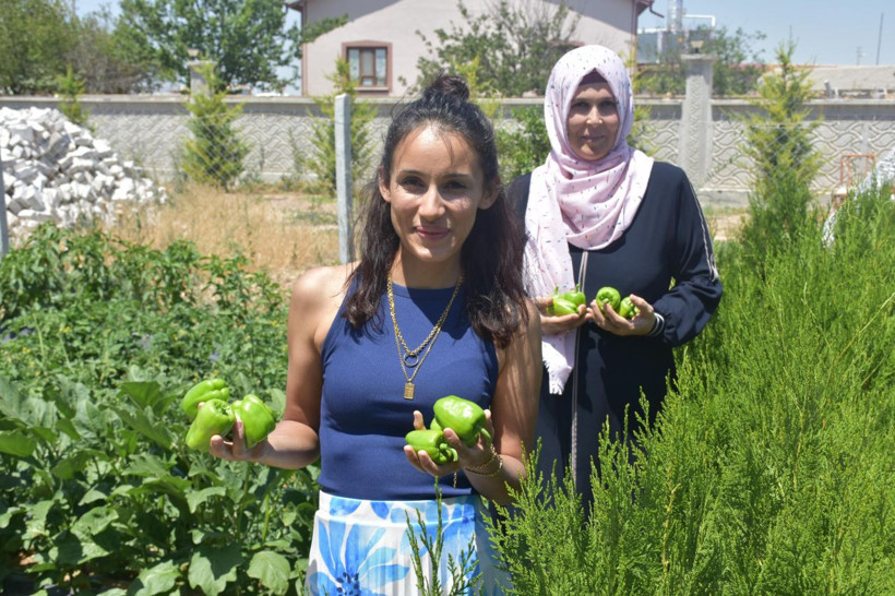 Bu otelde para geçmiyor, konaklamak için tek bir şart var - Resim: 5