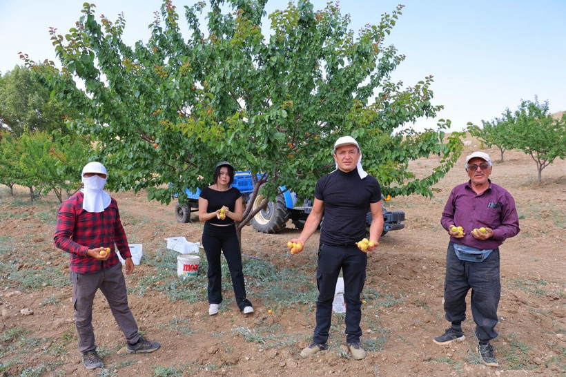 Susuz yaylada başladı, 10 bin ağaca ulaştı: 17 yaşındaki öğrencinin projesine dünya çapında ödül - Resim: 8