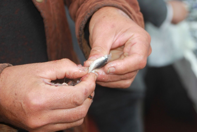 Fiyatlar yarı yarıya azaldı! Hamsi 70 liraya düştü, vatandaş sevinçten çiğ yedi - Resim: 7