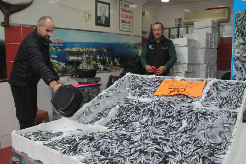 Fiyatlar yarı yarıya azaldı! Hamsi 70 liraya düştü, vatandaş sevinçten çiğ yedi - Resim: 8