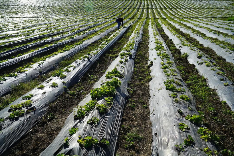 Bakan Işıkhan yıldızı parlayacak meslekleri açıkladı: En stresli ve en rahat işler belli oldu - Resim: 8