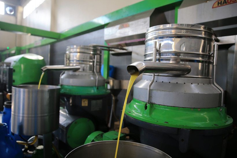 Zeytinde kullanılan su, tarıma "altın su" olarak dönecek - Resim : 1