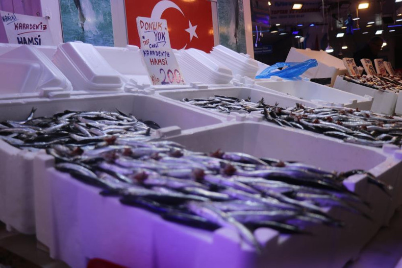 Hamsi yurda d&ouml;nd&uuml;, tezgahlardaki fiyatın ateşi d&uuml;şt&uuml; - Resim : 1