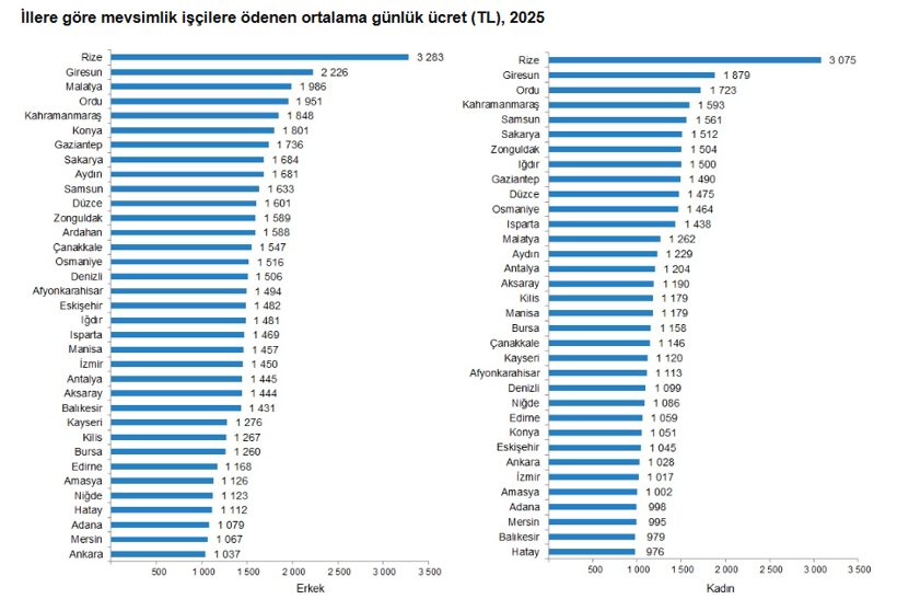 Tarımda &uuml;cretler y&uuml;kseldi: Mevsimlik iş&ccedil;inin aylık maaşı 37 bin TL'yi ge&ccedil;ti - Resim : 3