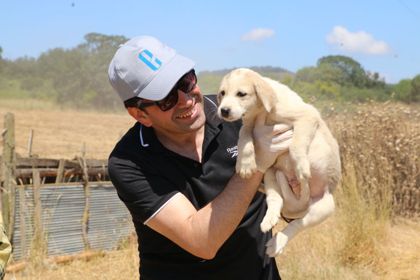 Ekol Lojistik doğayı koruma projesi ile 9 milyon can dostuna ulaştı - Resim : 1