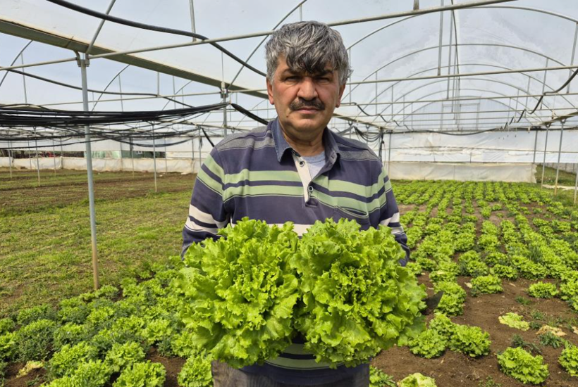 Marulda fiyat uçurumu: Üreticide başka, tezgahta bambaşka - Resim: 1