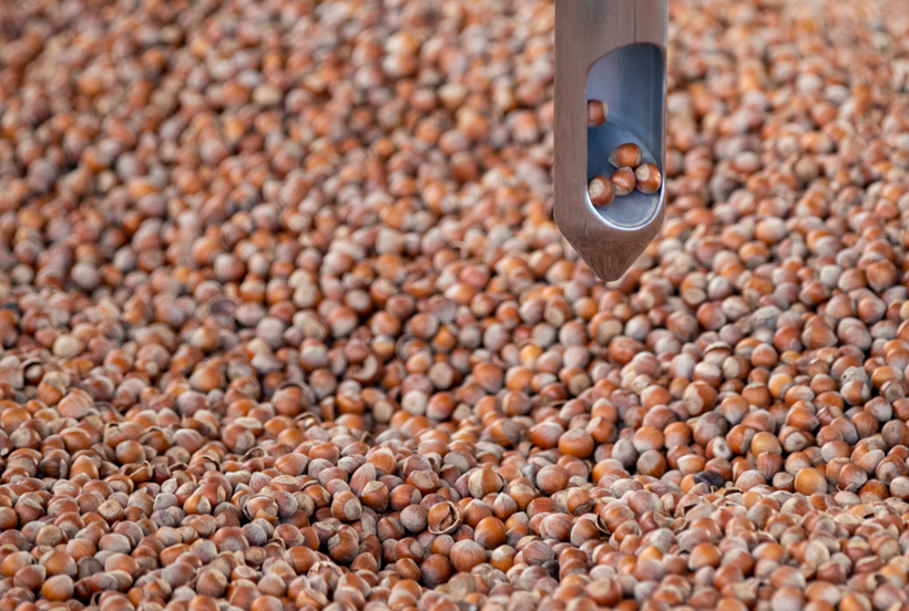 Atıktan stratejik ürüne: Fındık kabuğu ham maddeye dönüştürüldü - Resim: 3